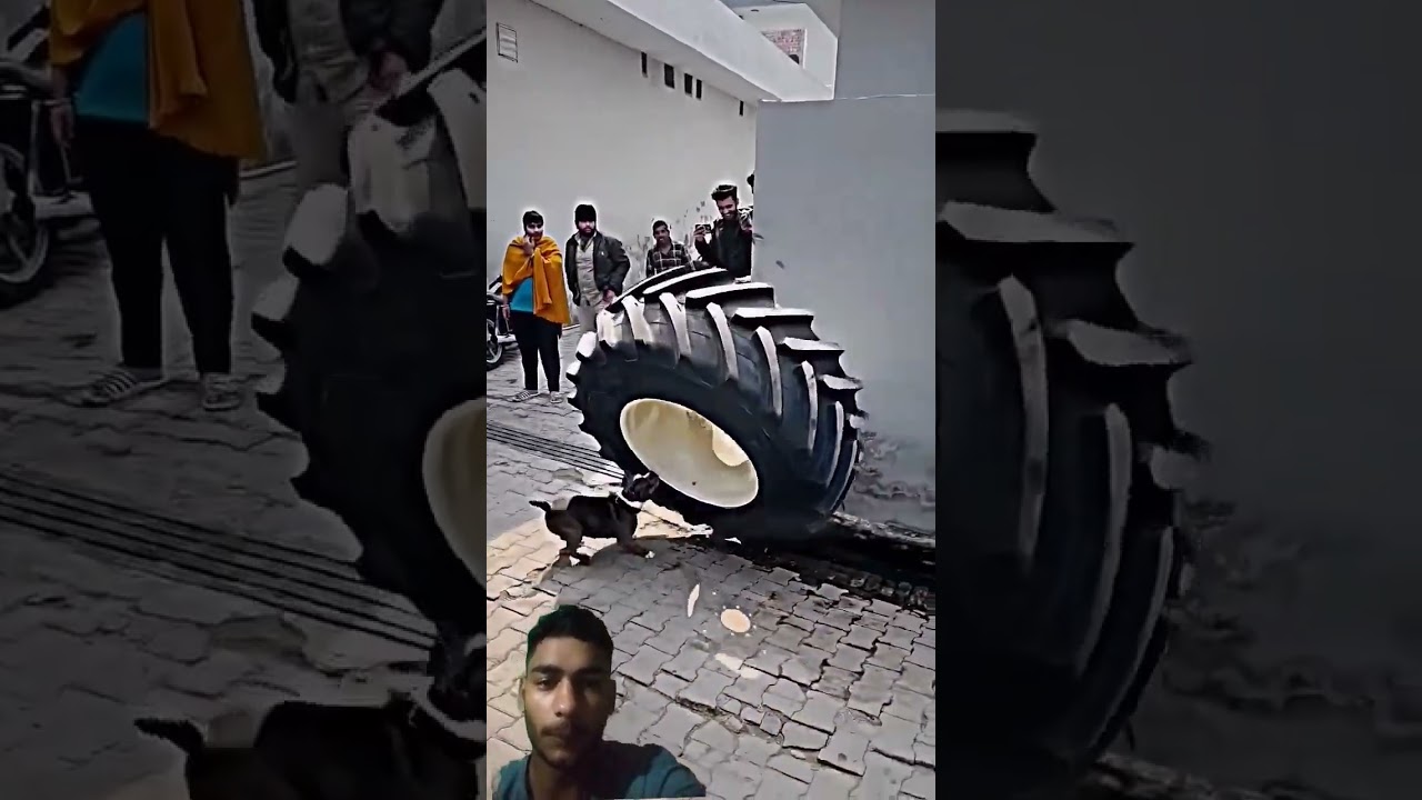 miss you Nishu daswal bhai Rohit Sharma the best team 