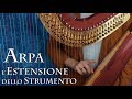 ARPA - l'estensione dello strumento