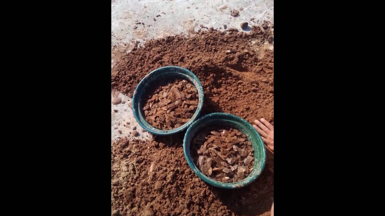 Salt Plains Jet Oklahoma Hourglass Selenite Crystal Digging Part 3