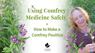 Comfrey Plant Benefits + Using Roots and Leaf Safely + Comfrey Poultice