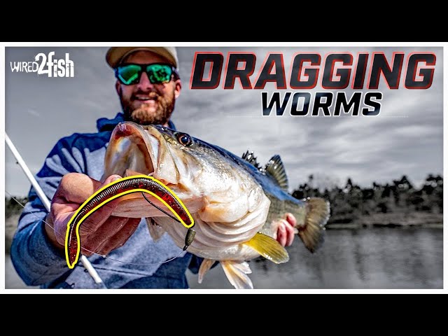 12 Alternative Ways to Rig a Floating Worm - Wired2Fish