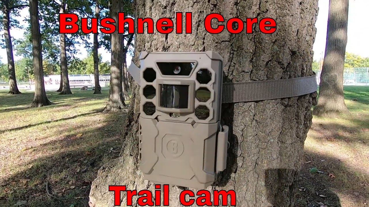 Bushnell Core NO GLOW trail camera Review - YouTube