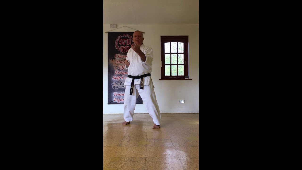 Tom Hill's Karate Dojo; LOCKDOWN, TENSHIO KATA. YouTube