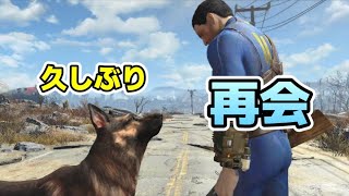 【#Fallout4】ウェブカメラあり・数年ぶりにフォールアウト４遊ぶ（初見実況動画は概要欄に記載） #ゲーム実況 #のあたん