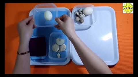 Giáo dục kĩ năng sống: Hướng dẫn kĩ năng bóc vỏ trứng - MGB 3-4 tuổi