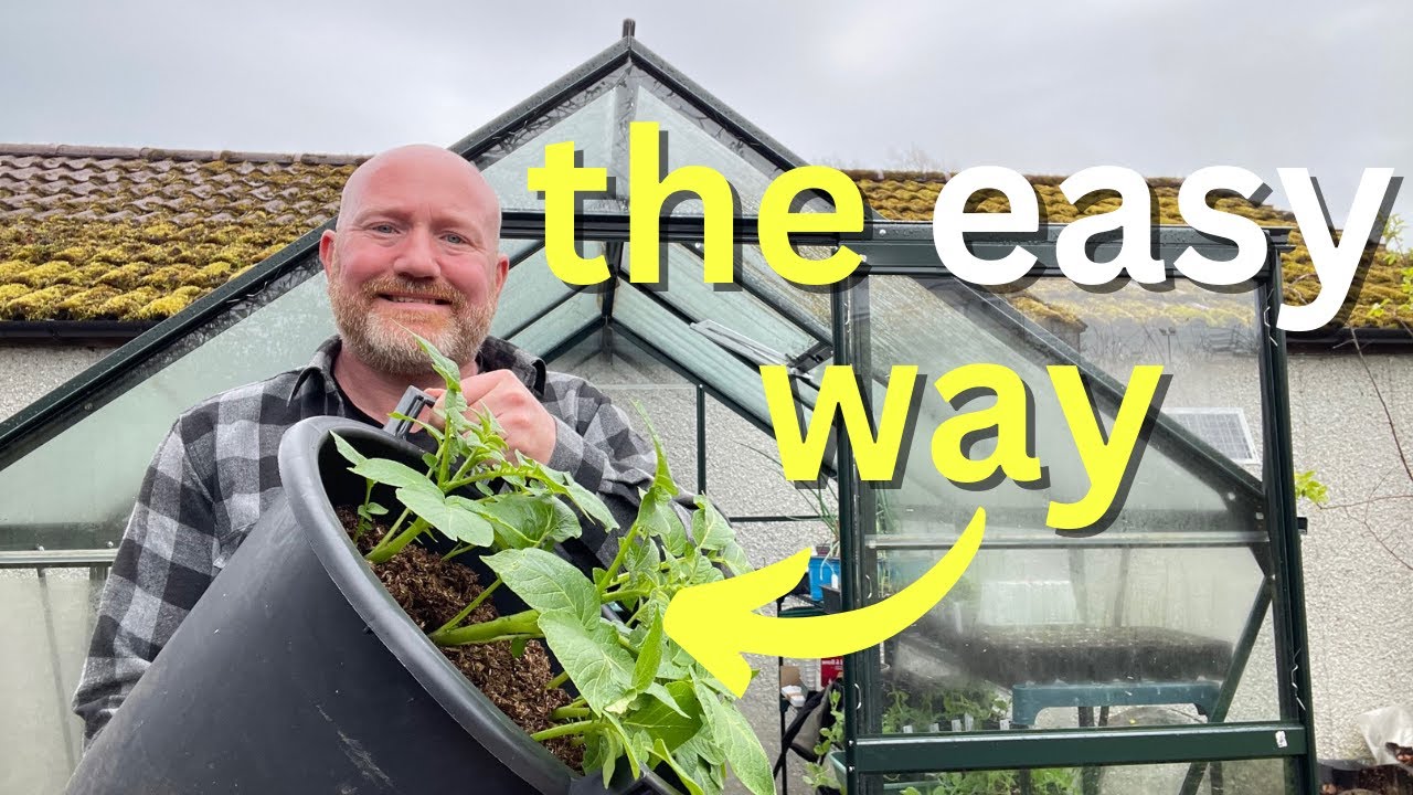Container Gardening: How to Grow Bountiful Main Crop Potatoes!