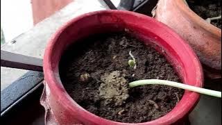 trashed 1764581630 VN20251101 145305