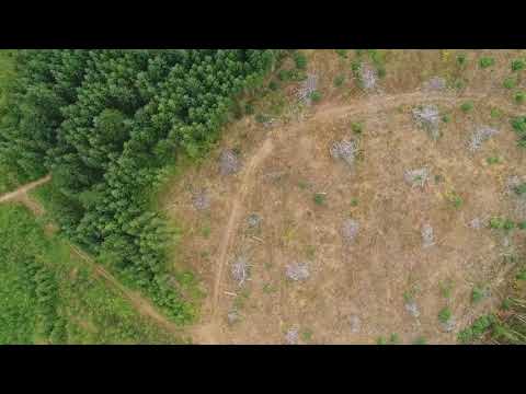 8291 SW Lee Rd, Gaston, OR home video tour