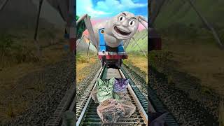 Gorilla Attacks Thomas Exe And Saves The Kittens