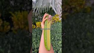 Tiktok By . .Like, Subscribe &Share. Click Links Below