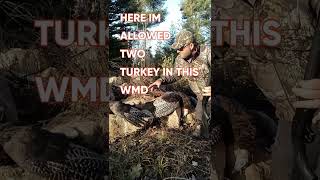 Fall Turkey 20 Guage