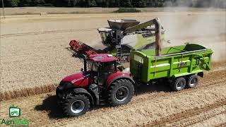 Massive Claas Lexion 8900 Harvesting Wheat 2022 🚜🌞🌞