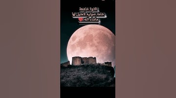القرآن الكريم... سورة التكوير... تلاوة خاشعة..خامة صوتية لامثيل لها #القرآن_الكريم #quran #الحمدلله