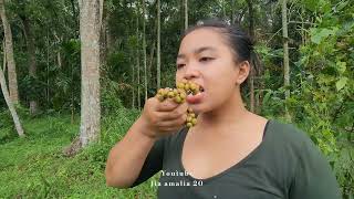 Survival dalam hutan , mencari makanan hasil alam langsung di masak di hutan