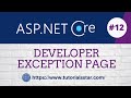 ASP.NET Core Developer Exception Page