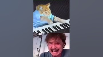 Rip keyboard cat original 1978-1987 legends never die