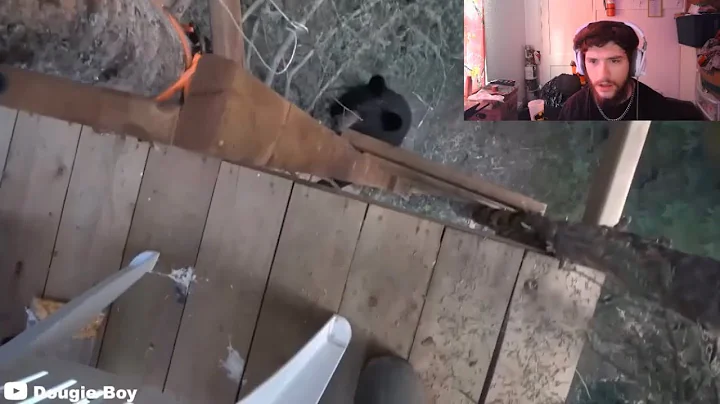 MrBaboon Reacts to 30 Scariest Animal Encounters of The Year