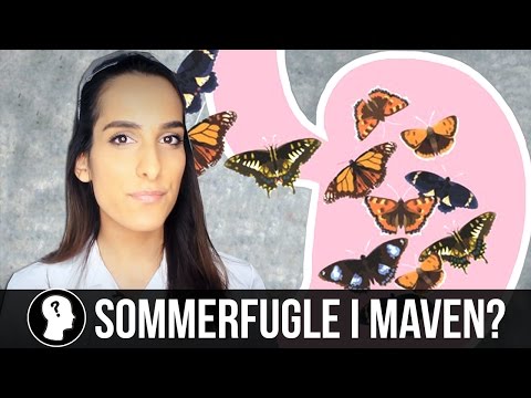 Video: Hvorfor Du Ikke Kan Fange Sommerfugler