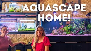 5ft Planted Aquarium and Nano Aquascapes! Fishroom Tour