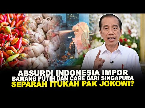 ABSURD! INDONESIA IMPOR BAWANG PUTIH DAN CABE DARI SINGAPURA. SEPARAH ITUKAH PAK JOKOWI?