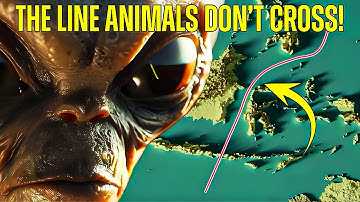 Why animals don