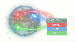 CNS Profile — Smarter Supplement Choices: How It Works