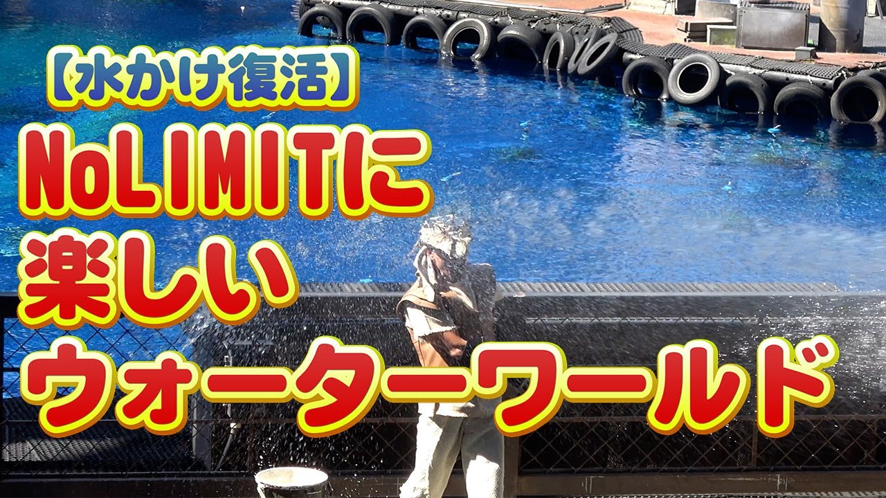 動画を再生