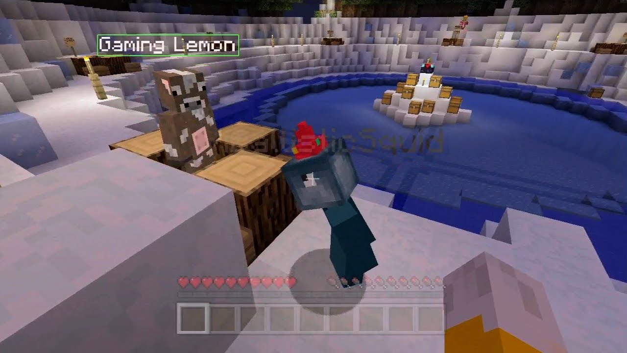 stampy hunger games with squid