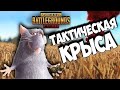 КАК ПРАВИЛЬНО КРЫСИТЬ В PUBGM (Приколы и фейлы в PUBG Mobile)