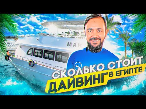 Сколько стоит дайвинг в Египте? Путешествие на Красное море