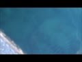 日中に堤防メバルを釣る方法。