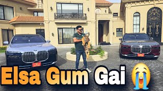 Aj Tiger Female Gum Gai Bht Mushkil sy Mili 🙁 | Nouman Hassan |