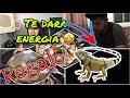 COmo preparar un riko caldo de IGUANA 🦎 😋 + un REGALO de un SUSCRIPTOR 🤩