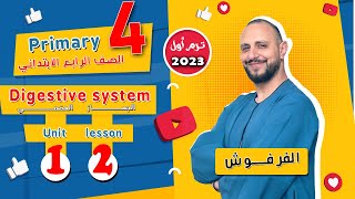 شرح منهج كونكت 4 للصف الرابع | الجهاز الهضمي | الترم الأول الوحدة الأولى الدرس الثاني 2023