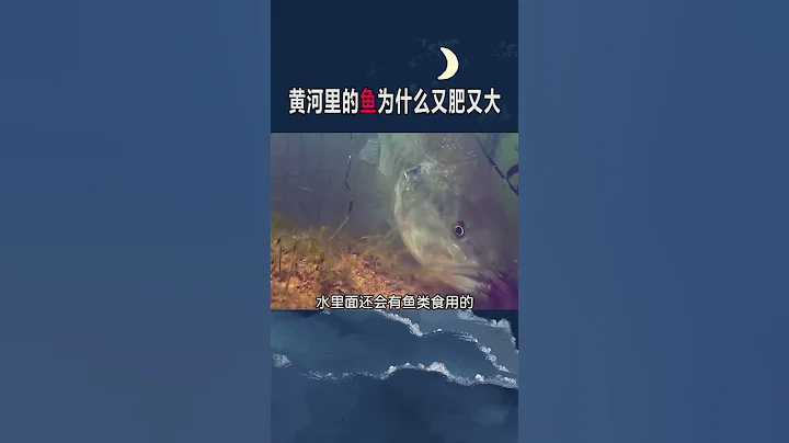 探索科学世界：打破神秘的面纱，揭示科学的力量和魅力 - 简明易懂的科普系列 #科学 #科普#探索#教育#科技#理解科学 #通俗易懂 #Science #Education #Mystery #Tech - 天天要闻