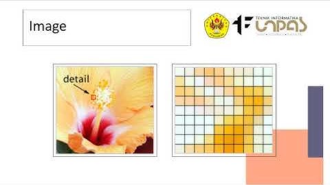 Matrix (Struktur data sederhana) - Algoritma dan Pemrograman