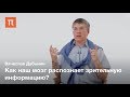 Зрительные центры головного мозга — Вячеслав Дубынин