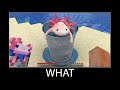Minecraft wait what meme part 89 realistic minecraft axolotl bucket