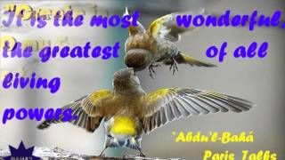 ☀ Echos Of Love  ღೋ happy Nowruz  ℒℴνℯ﻿ ☀ Baha'i writings ღೋ
