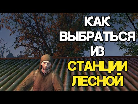 Видео: КАК ВЫЙТИ ИЗ СТАНЦИИ ЛЕСНОЙ? | STAY OUT (STALKER ONLINE)