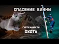 Спасение рядового Винни / Спасли кошку / Первый Альп заказ на видео