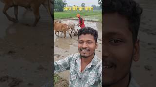 आप बेटे का काम 😁 #shortvideo #shortsviral #shortsfeed #aivideo #animals @aividess