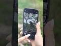 Wildlife photography with a smartphone IMPOSSIBLE? #aarzookhurana #smartphone #photography #learn