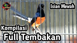 MASTERAN MURAI BATU FULL ISIAN TEMBAKAN CILILIN KENARI GEREJA LOVEBIRD SIKATAN LONDO CUNGKOK DLL