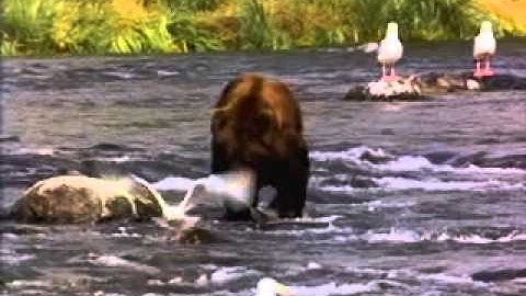 Test Upload via Java on Thu Apr 14 10:07:04 GMT+05:00 2016