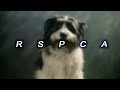 TOP 15 SCARIEST RSPCA ADVERTS