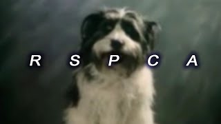 TOP 15 SCARIEST RSPCA ADVERTS