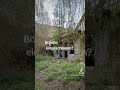 Bombe 💣 eingeschlagen ??? #shorts #viral #viralvideo #lostplace