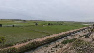 Paisaje  de Perú ( Camaná )