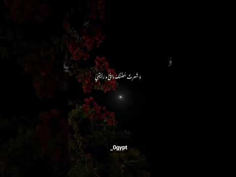حين التقيتك عاد قلبي نابضا بدون موسيقى للشاعرة دارين شبير غناء صاحبة الصوت الملائكي وتر